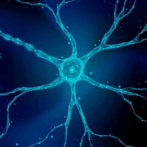 A blue, glowing neuron against a dark background. The neuron features a central cell body with electric blue branching dendrites, giving it a network-like appearance reminiscent of the intricate pathways explored in Herbology Long Island. Small dots and subtle light effects add a dynamic, ethereal quality to the image.